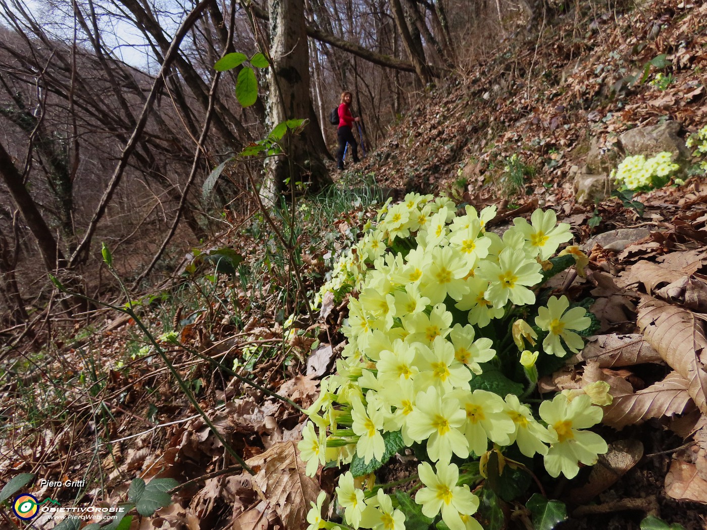 43 Ed ora in decisa salita.JPG